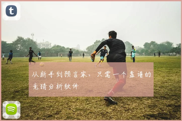 从新手到预言家，只需一个靠谱的竞猜分析软件